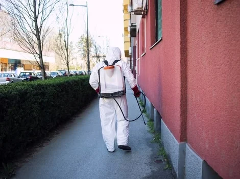 Rest With Confidence - Bed Bug Exterminator Services Port Coquitlam