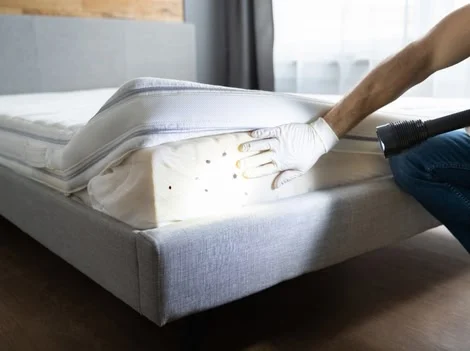 After - Bed Bug Inspection and Treatment Surrey