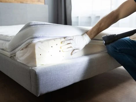 After Treatment - Bed Bug Treatment Burnaby