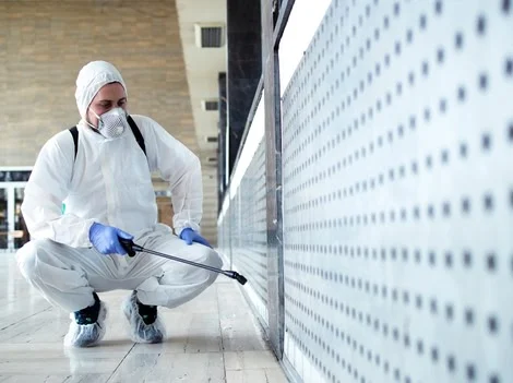 After Treatment - Bed Bug Treatment Company New Westminster