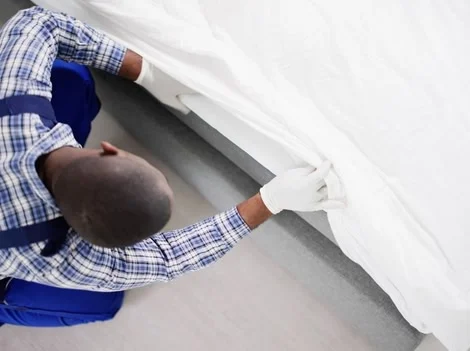 Before Treatment - Bed Bug Treatment Vancouver