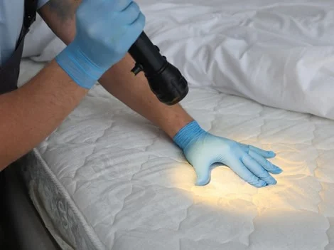 After Treatment - Bed Bug Treatment Vancouver