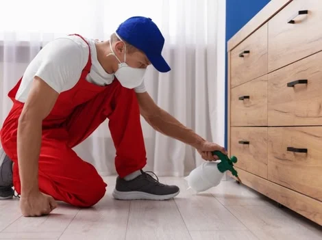 After - Best Commercial Rodent Control Services Delta