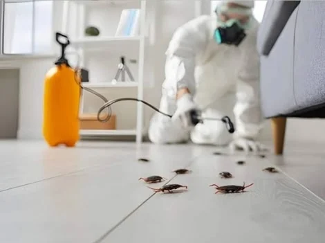 After Treatment - Cockroach Control Burnaby