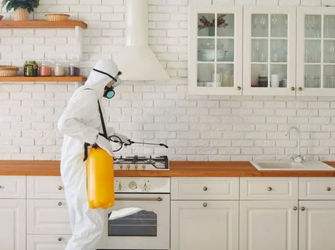 Before - Cockroach Exterminator Treatment Services Surrey