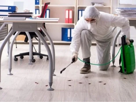 Before Service - Commercial Pest Control Vancouver