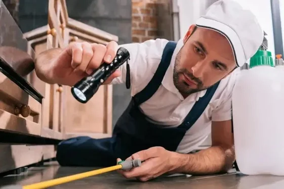Emergency Pest Control Vancouver for Homes & Businesses