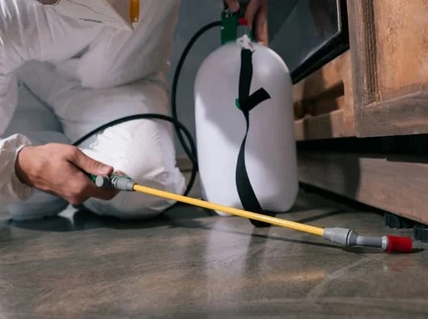 Before Service - Emergency Pest Control Vancouver