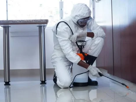 After Service - Emergency Pest Control Vancouver