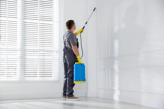 Pest Control Abbotsford for Local Properties