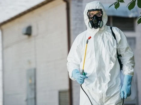 Before Treatment - Pest Control Abbotsford