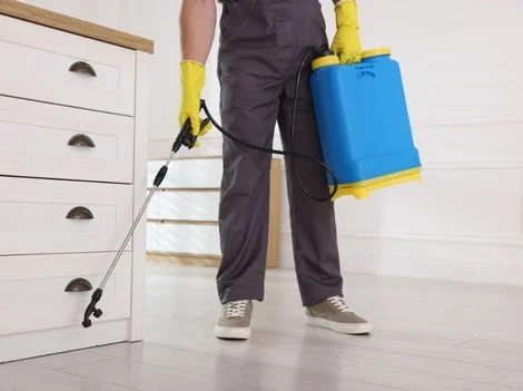 After Treatment - Pest Control Abbotsford