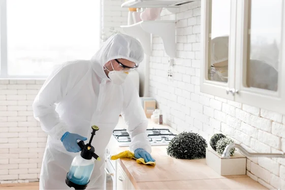 Pest Control Burnaby for Residential & Commercial Properties