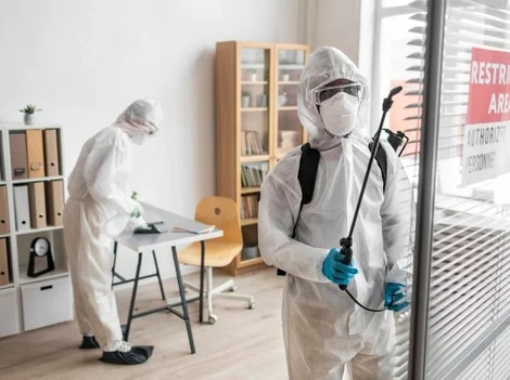 After - Pest Control Burnaby