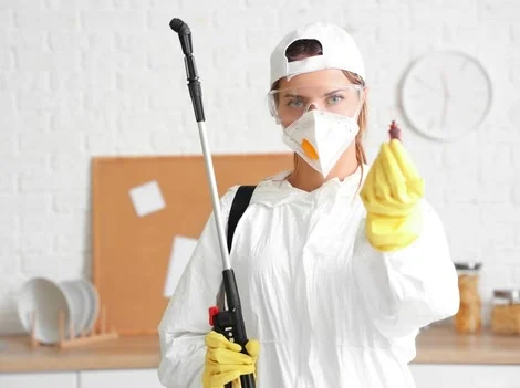 Before Treatment - Pest Control Chilliwack