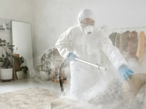 After Treatment - Pest Control Coquitlam