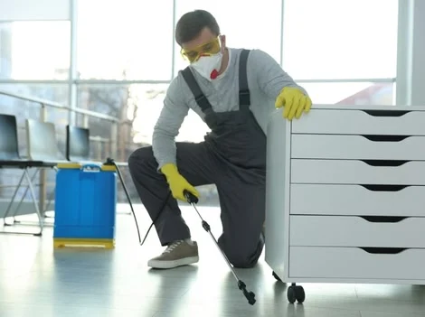 After Treatment - Pest Control Langley