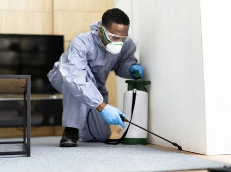 After Treatment - Pest Control Maple Ridge