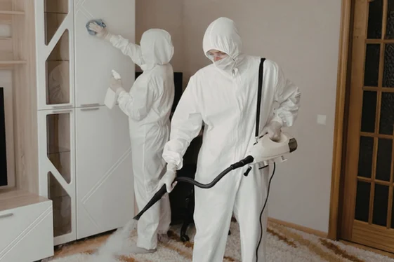 Pest Control Port Coquitlam for Homes & Businesses