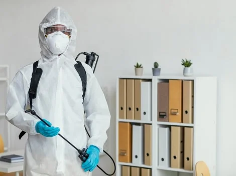 Before Treatment - Pest Control Richmond