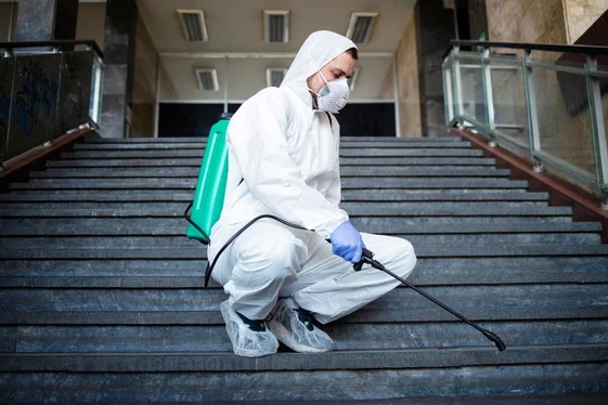 Local Pest Treatment for Surrey Properties