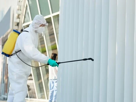 Before Treatment - Pest Control Surrey