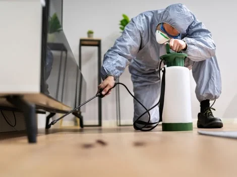 After Treatment - Pest Control Surrey