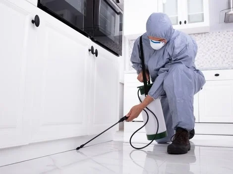 Before Treatment - Pest Control White Rock