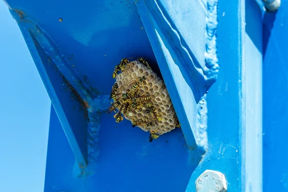 Deal With The Nest At Its Source